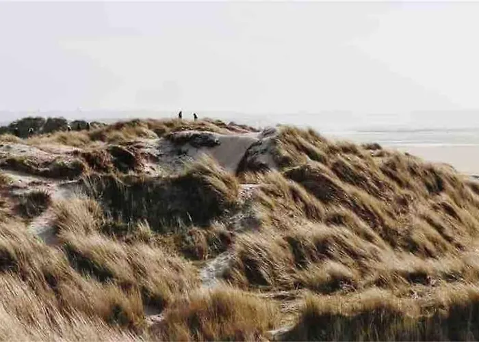 L'olivera : Entre Evasion, Sport Et Nature Casa de Férias *