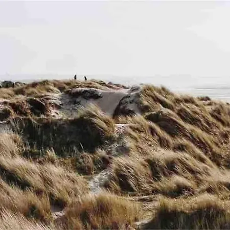 L'olivera : Entre évasion, Sport Et Nature Сasa de vacaciones *